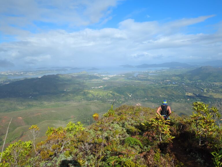 DMBA Trail